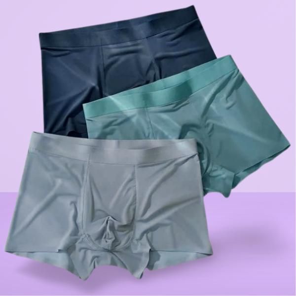 Men's Ice Silk Briefs Boxers Buy 1 Get 2 Free